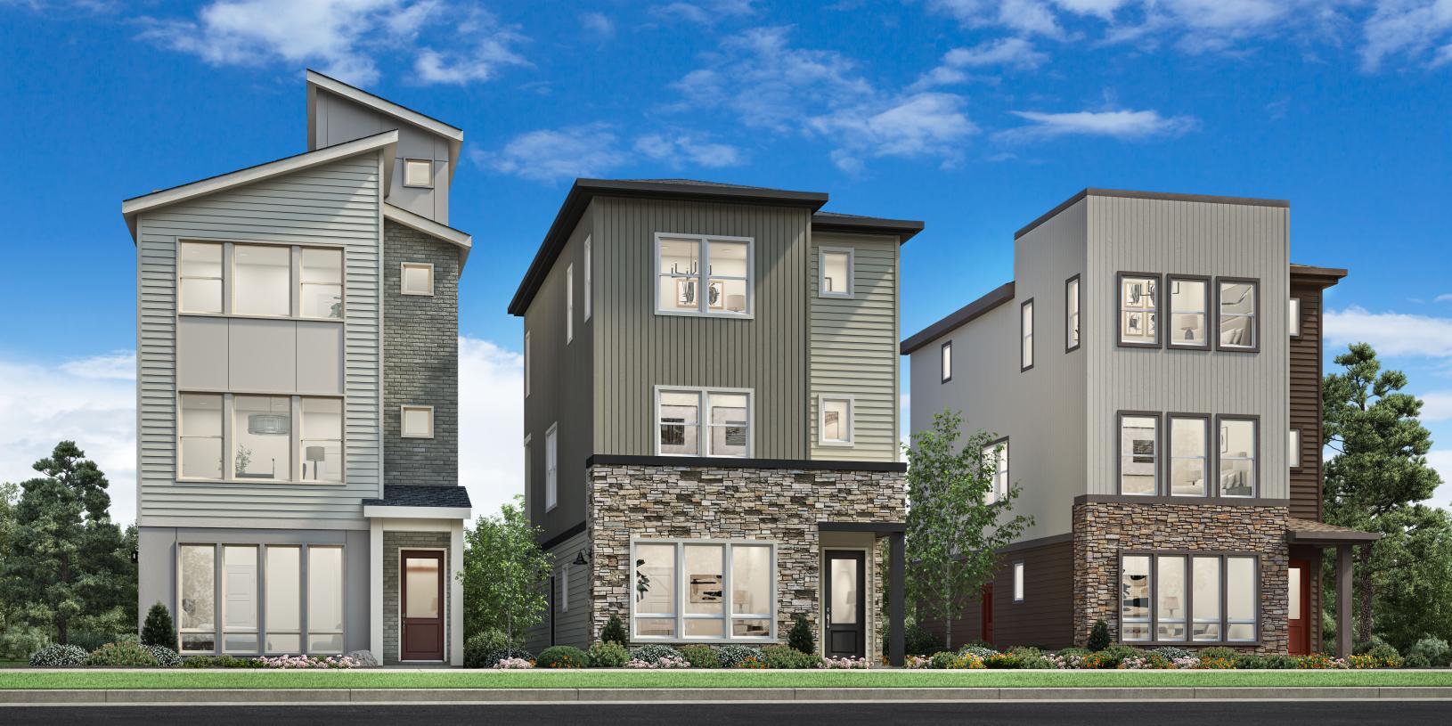 Elevation Image:Transitional