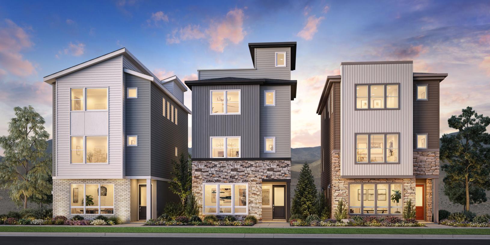 Elevation Image:Transitional