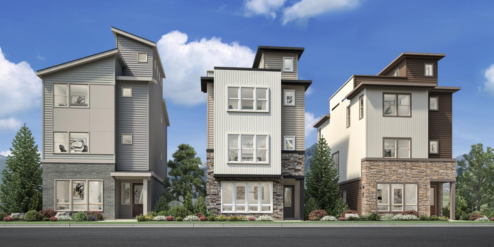 Elevation Image:Transitional