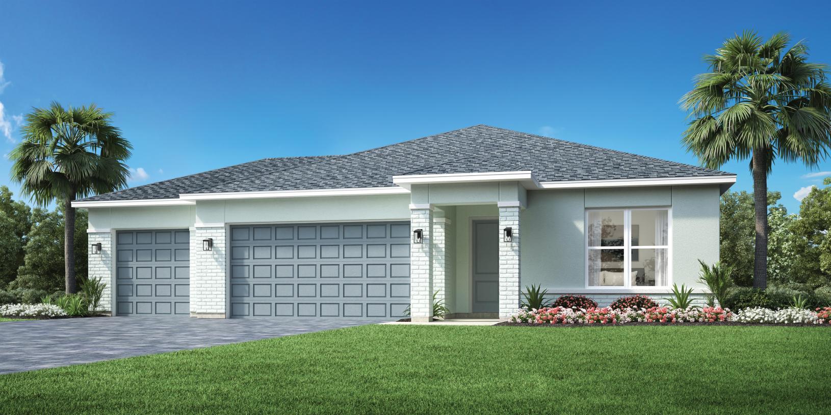Elevation Image:Transitional