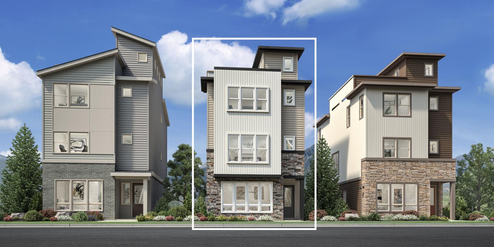 Elevation Image:Transitional