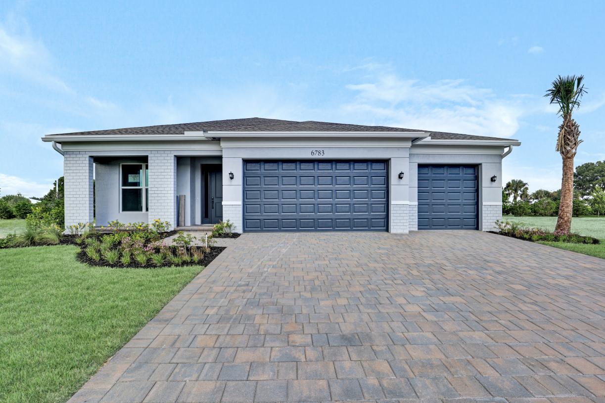Elevation Image:Transitional