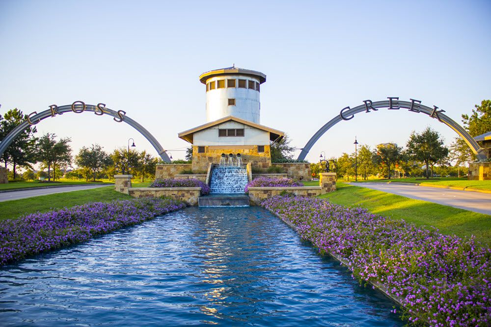 CCR_Flowers_HR_IMG_3582 web