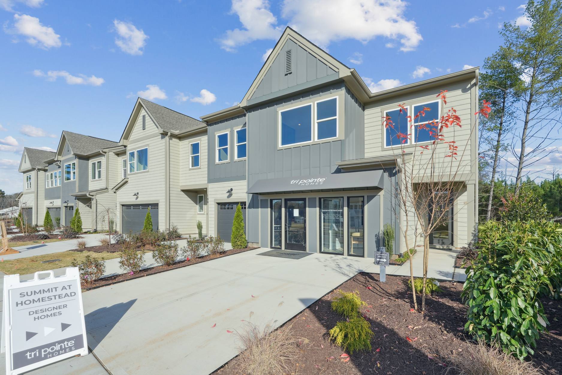 Summit at Homestead | Ellis | Model:Exterior