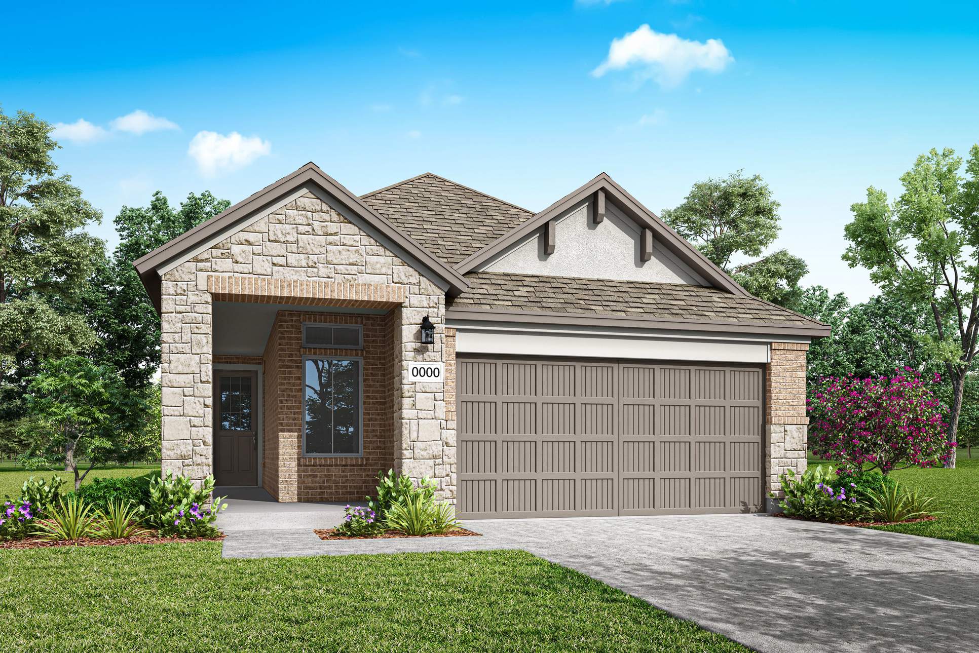 Flora:304 Rock Daisy Trail