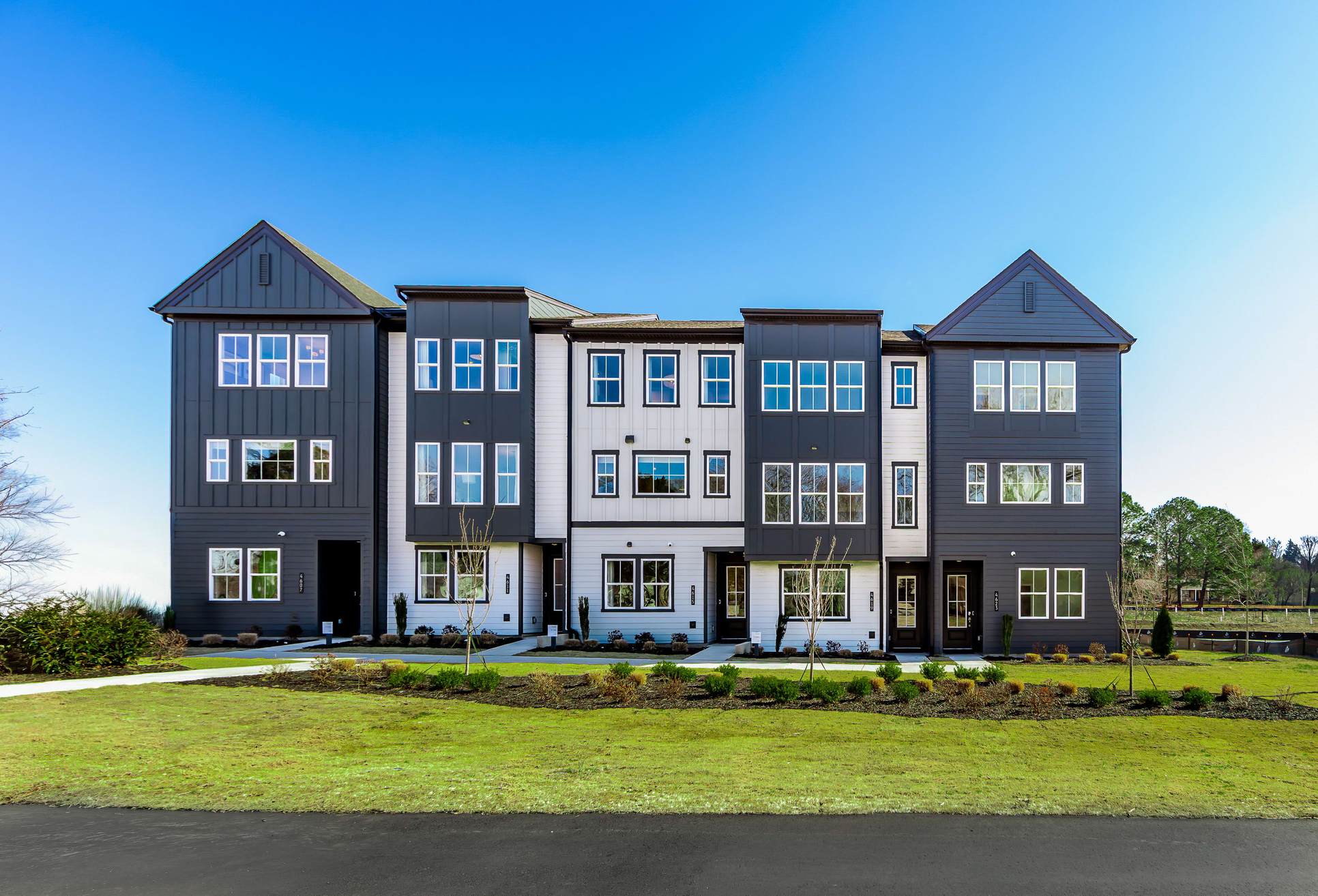 Bellflower:Charlotte, NC