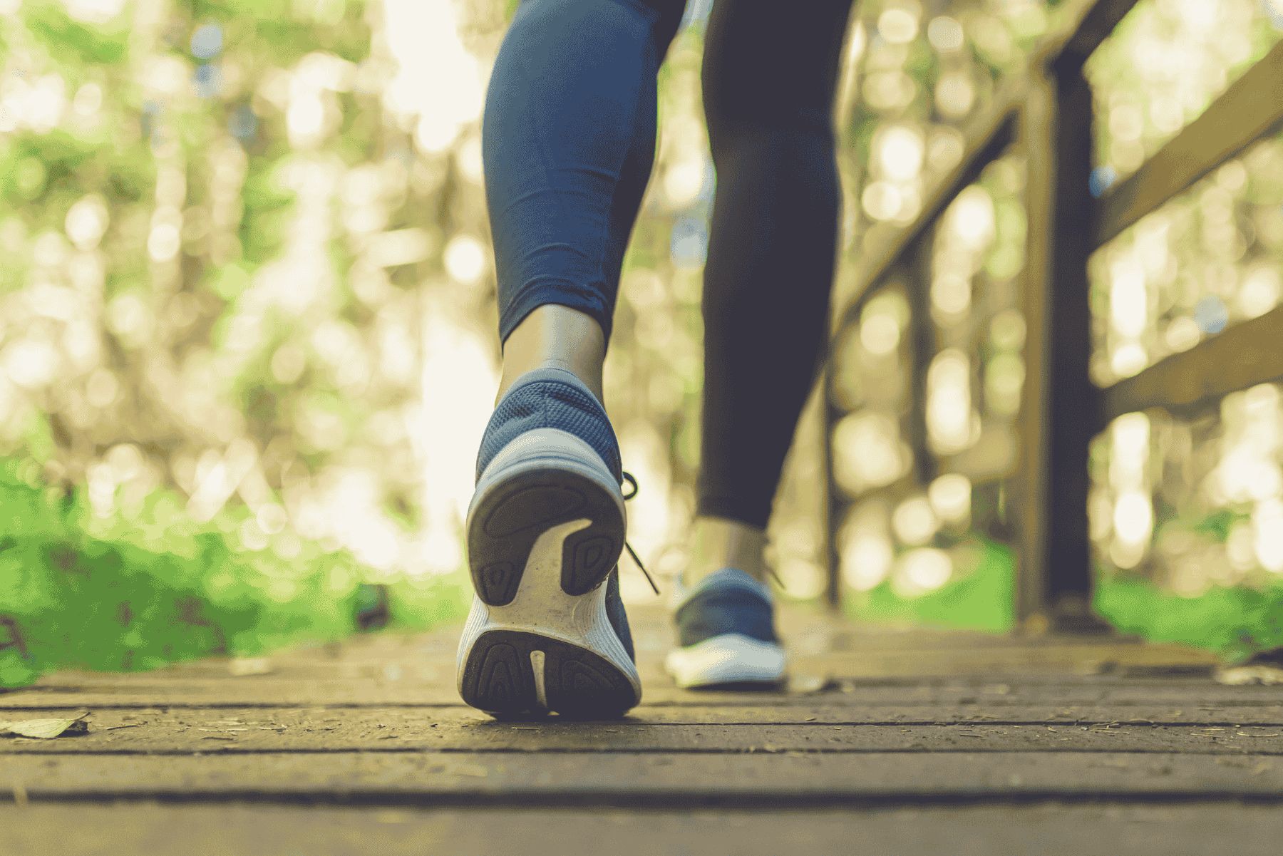 Hiking Trail:Hiking Trail