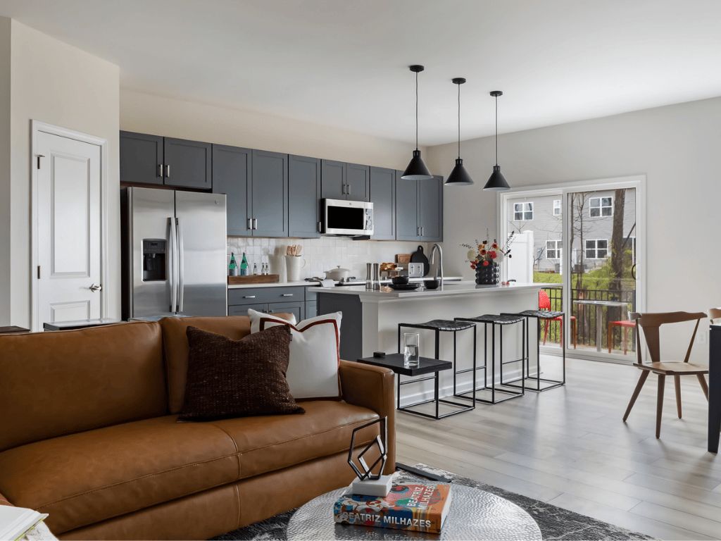 Living Room:Conceptual Image