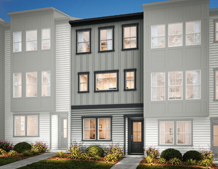 The Bellamy:Elevation