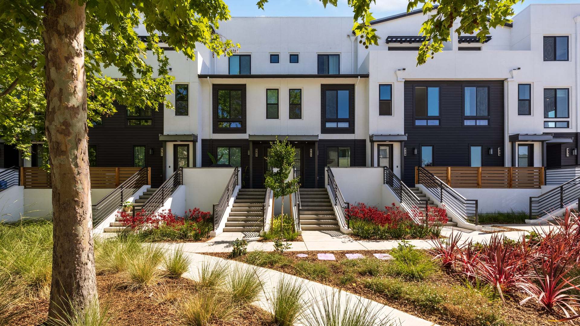 Ascend By Trumark Homes in San Jose, CA I Community:Ascend By Trumark Homes in San Jose, CA I Community