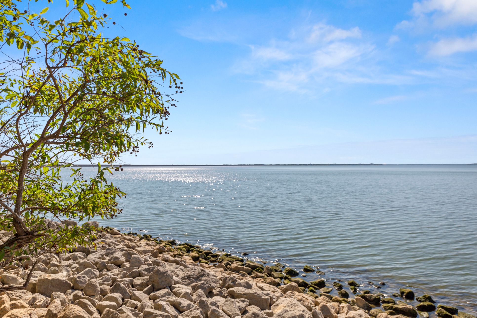 Lake Breeze,75166