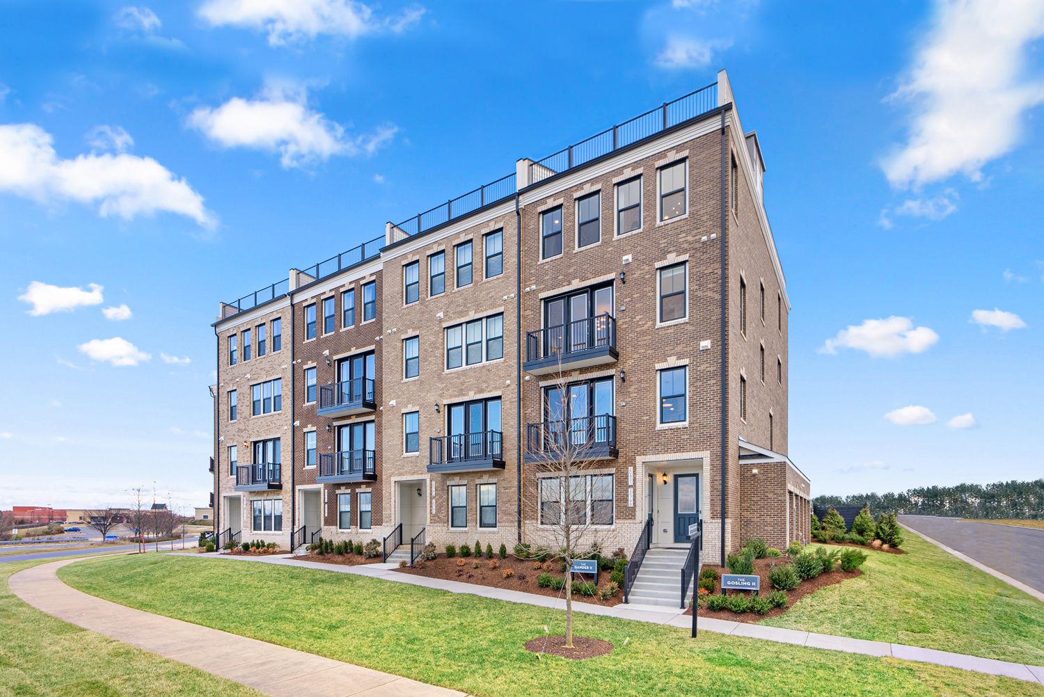 The Gander II & The Gosling II