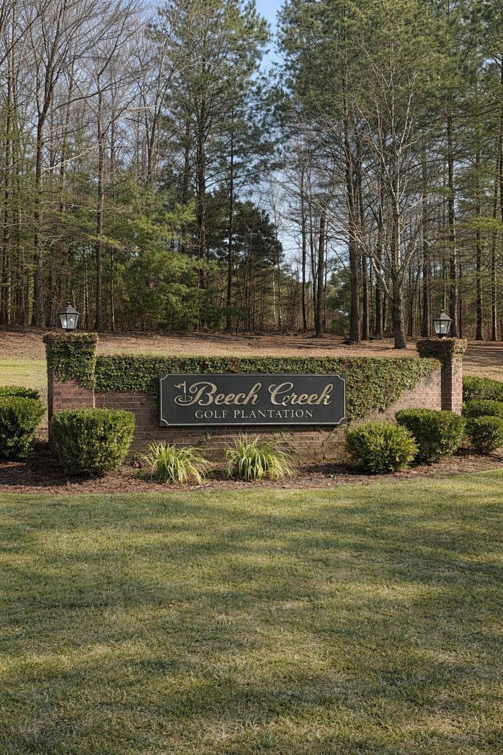 Beech Creek,29154