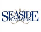 Seaside Plantation,29597