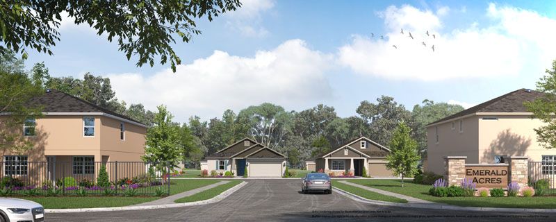 Emerald Acres Community Artist Rendering