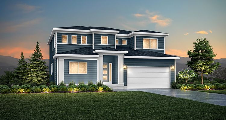 SKC Alta Elevation D